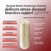 4 - Rooted Active Naturals Reishi Organic Mushroom Extract, 60 veggie capsule(s)