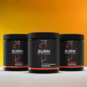 4 - Rule One Burn Powder,  0.46 lb  Snow Cone 
