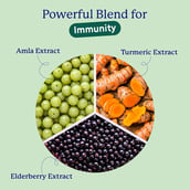 6 - Gritzo Immunity Gummies 2-6 Years,  30 gummies  Strawberry