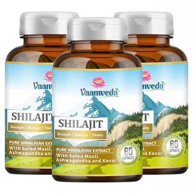 Vaamveda Shilajit (Pack of 3), 60 capsules