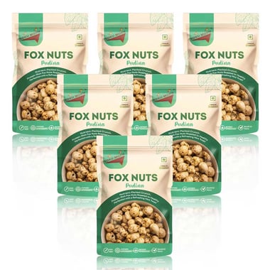 TOKU MOKU Roasted Makhana,  Pudina (Pack of 6)  55 g 