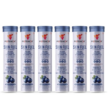 Potencia Skin Fuel Effervescent,  15 tablet(s)  Mint Blueberry (Pack of 6) 