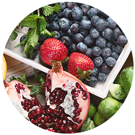 Biotin, Iron and Zinc