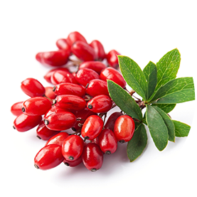Liposomal Berberine