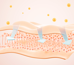 Enhanced Performance