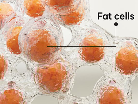 Why Science of ACV + Berberine