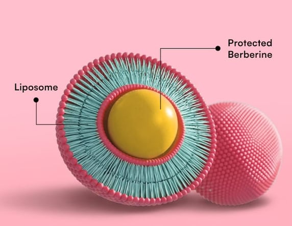 Why Science of Liposomal Berberine?